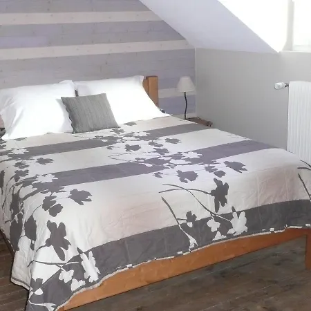 Aparthotel L'etoile Du Sancy 3*