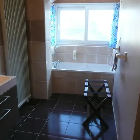 L'etoile Du Sancy Aparthotel 3*